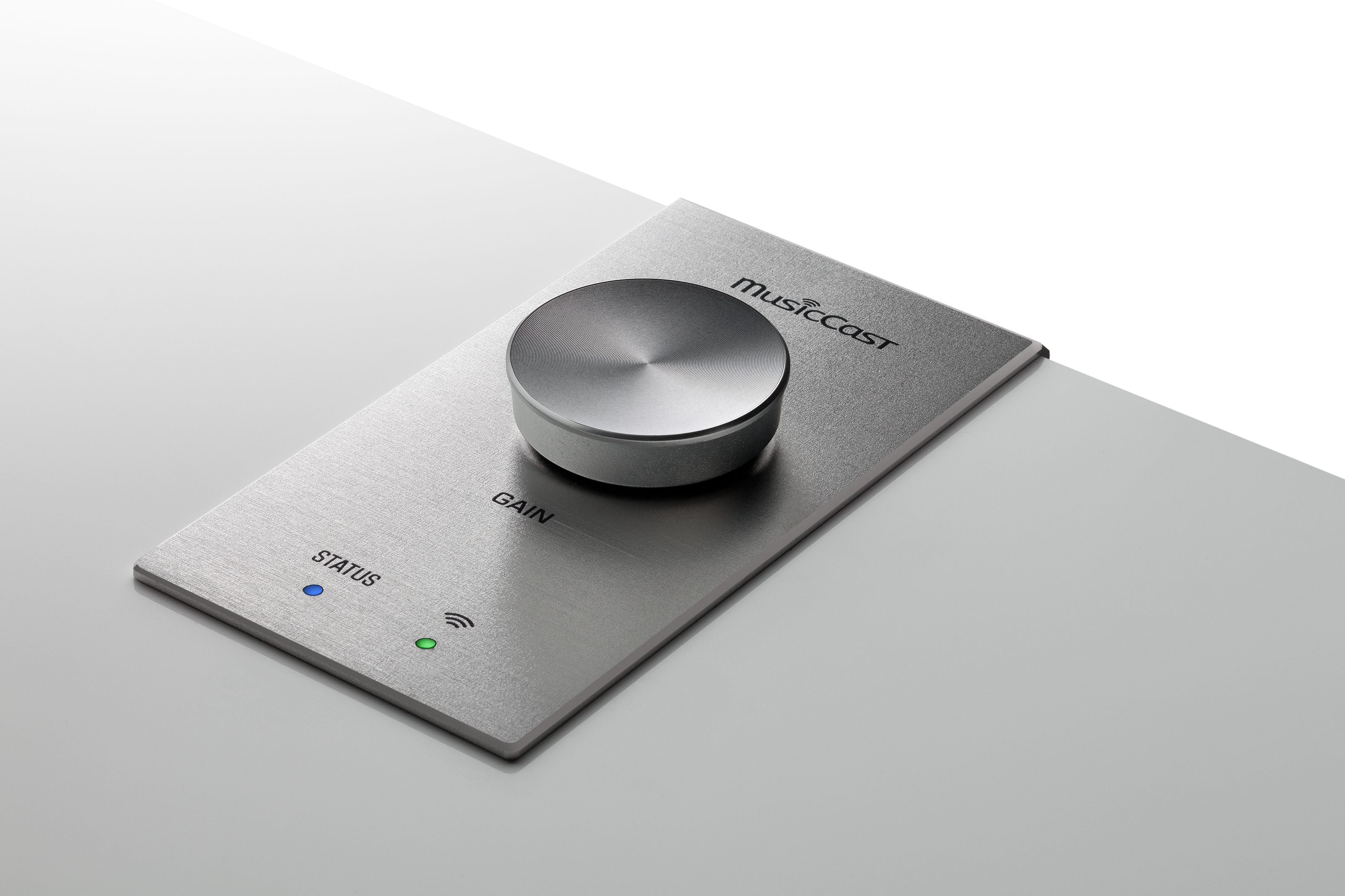 MusicCast SUB 100  (NS-NSW100)